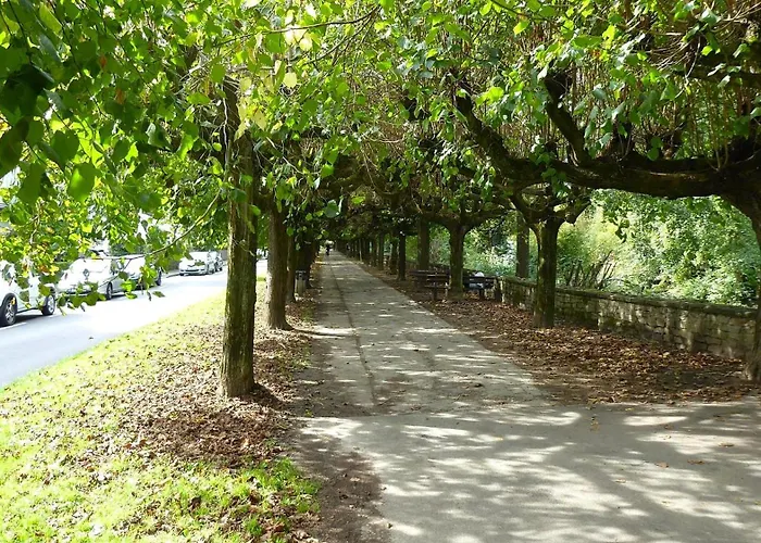 شقة Zm 22, King Doublebed ليفركوزن